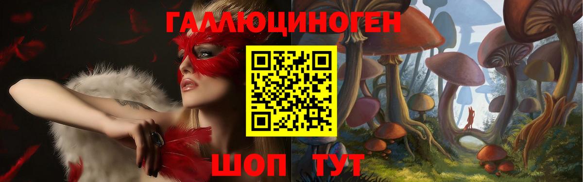 где купить наркотик  Галлюциногенные грибы мицелий  Вход с VPN  Нурлат 